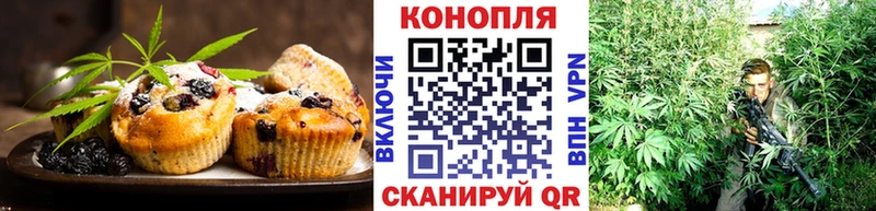 Купить где Ардатов Cannafood конопля
