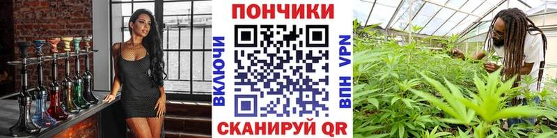 Купить где  Ардатов  Шишки марихуана THC 21%